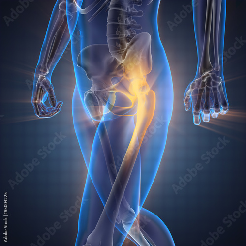Cuadros en Lienzo human bones radiography scan image