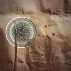 sperm and egg cell. microscopic painted on paper