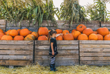Girl Picking Out Pumpkins At Pumpkin Farm