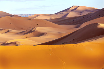 Sand dune in the desert of Morocco