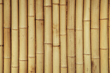  Bamboo Background