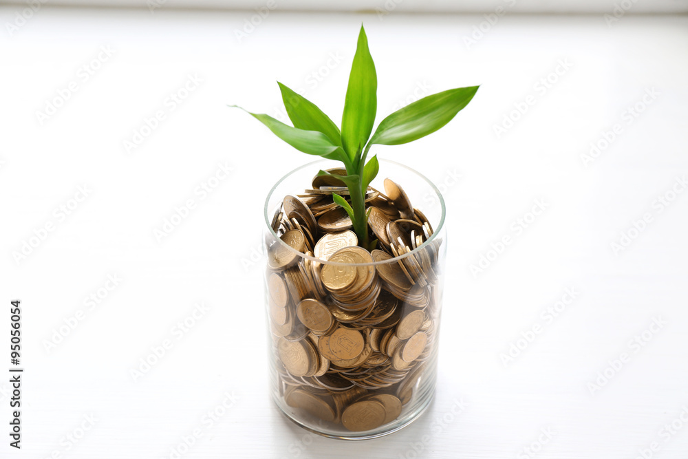 Plant growing in coins isolated on white