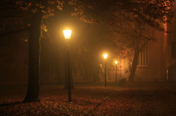 Streetlights in a park on a foggy night in autumn.