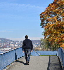 Canvas Print - jardin public en bordure du lac de zurich en automne