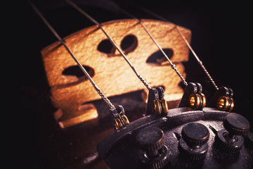 Wall Mural - Violin Strings Details