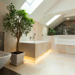 Wall Mural - Interior of modern bathroom in new house