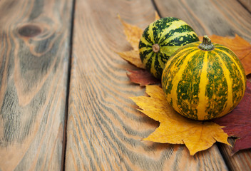 Wall Mural - autumn pumpkins