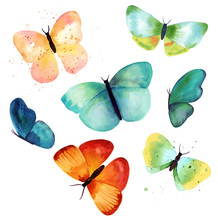 Various Watercolor Butterflies On White Background