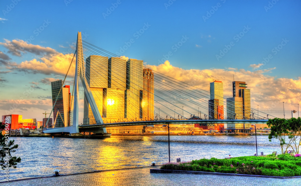 Erasmus Bridge in Rotterdam - Netherlands - obrazy, fototapety, plakaty 