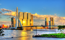 Erasmus Bridge In Rotterdam - Netherlands