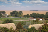 Fototapeta Na ścianę - farm with horses arerial view landscape