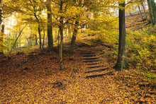 Stairs Path On Autumn Forest