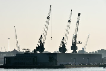  sea cargo port large cranes