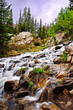 Stream flowing inside Rocky Mountain National Park