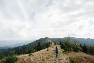 Canvas Print - beautiful amazing landscape of sunny mountains, forest, sky and