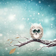 Little snow owl