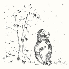 Chinese  Monkey Snow New Year Drawn Sketch