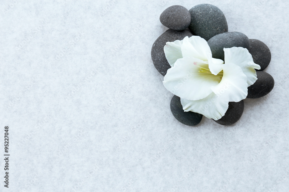 Spa stones with flower on light background