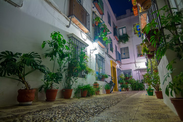  typical Andalusian courtyard decorated with flowers in the city of Cordoba Spain