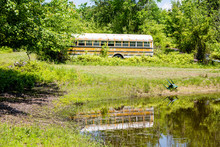 Old School Bus By Lake