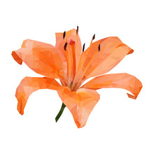 Polygonal Orange Lily, Polygon Triangle Flower, Isolated Vector