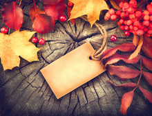 Autumn Background With Blank Greeting Card And Colourful Leaves Over Wood