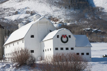 Traditional White Barn In The Snow Covered Countryside.