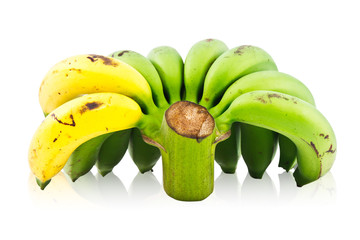 Two ripe banana on bunch of raw banana on white background