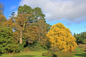 Poster - Park in Autumn