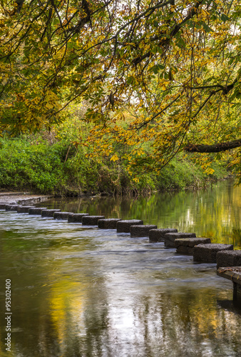 Fotografie, Obraz Stepping Stones over the river Mole at the foot of Box Hill, Surrey, UK