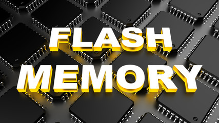 Flash memory (EEPROM)