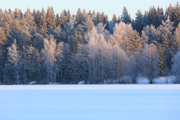 Wall Mural - Winter lake scenery in finland