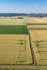 aerial view of green harvest fields