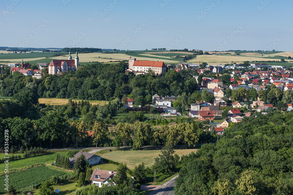 aerial view of  Otmuchow town - obrazy, fototapety, plakaty 