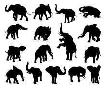 Elephant Animal Silhouettes