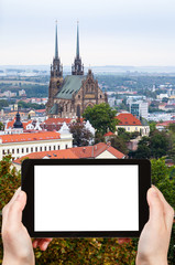 Poster - photo of Brno city with Cathedral