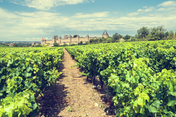 Wall Mural - Carcassonne