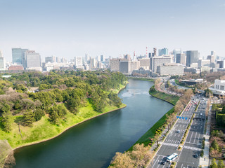 Canvas Print - Tokyo