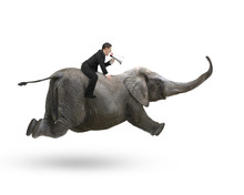 Businessman With Using Speaker Riding On Elephant