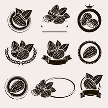 Almonds Labels And Elements Set. Vector