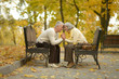 © aletia2011 - Senior couple in autumn park