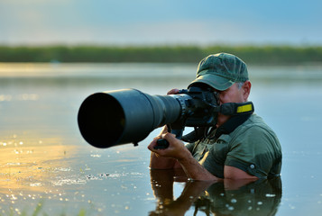 Wall Mural - wildlife photographer outdoor, standing in the water
