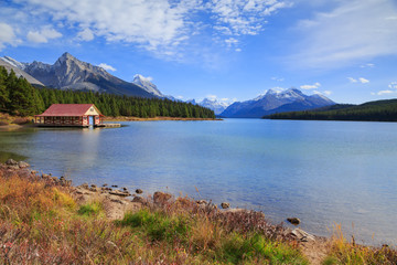 Wall Mural - Maligne Lake view