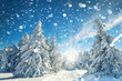 canvas print picture - Schneefall im Wald