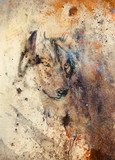  Wolf painting, color abstract effect on background