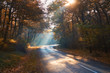 Misty autumn forest road
