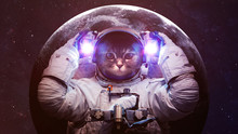 Beautiful Cat In Outer Space. Elements Of This Image Furnished By NASA
