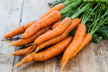 Sticker - fresh carrots bunch