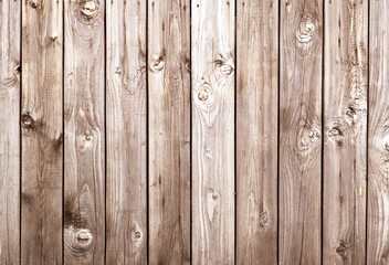 Wall Mural - wood texture