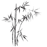 Fototapeta Fototapety do sypialni na Twoją ścianę - Bamboo branches outlined in black
